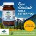 Pure Mountain Botanicals Bacopa Monnieri Capsules - Vegan Caps with Organic Bacopa & Standardized Bacopa Extract Supplement - Buy Online on GoSupps.com