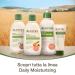 Aveeno Moisturising Body Cream for Dry Skin - Daily Yoghurt Formula 300 ml | Shop Internationally - Buy Online on GoSupps.com