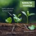 SanSiro Organic Tea Taster Set for Nespresso | 60 Compostable Tea Capsules | Eco-Friendly & CO2 Neutral | Buy Internationally - Buy Online on GoSupps.com