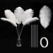 Holmgren White Ostrich Feathers Bulk - 20pcs Making Kit 22 Inch Large Ostrich Feathers for Vase  Floral Arrangement  Wedding Party Centerpieces and Christmas Home Decorations (White)