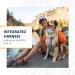 Luffwear Hiking Backpack for Large Dogs - Adjustable Size L/XL Orange Poppy Ideal for Adventurous Breeds - Buy Online on GoSupps.com