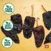 OL RICO Dried Ancho Chiles 4 Oz - Premium Mexican Chiles for Birria, Mole, Enchiladas, Salsas & Pozole - Mild to Medium Heat, Sweet & Smoky Flavor - 100% Natural Resealable Packaging - Buy Online on GoSupps.com