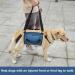 Coodeo Dog Carry Sling Emergency Backpack Pet Legs Support & Rehabilitation Dog Lift Harness for Nail Trimming Dog Carrier for Senior Dogs Joint Injuries Arthritis Up and Down Stairs (L Blue) Large Blue - Buy Online on GoSupps.com