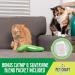 Pet Craft Supply Interactive Electric Flipping Fish Cat Toy with Catnip - Wiggle Pickle - Buy Online on GoSupps.com