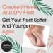Aroma Dead Sea Shea Butter Foot and Nail Cream with Tea Tree Oil, Vitamin E - 100 ml - Buy Online on GoSupps.com