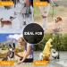 Zweitea Dog Shoes for Small Dogs - Breathable Slip-Resistant Reflective Boots for Chihuahua - Durable Paw Protection in Orange - Ideal for All Outdoor Adventures - Buy Online on GoSupps.com