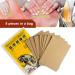Footsihome Pain Relieving Patches - 40 Herbal Back Muscle Patches - Tiger Chinese Hot Patch for Muscle & Joint Heat Relief - 40 Pcs - Buy Online on GoSupps.com