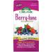 Espoma Organic Berry-Tone 4-3-4 Fertilizer & Plant Food - 4 Lb Bag for All Berries - Promote Bountiful Harvest - Pack of 2 - Ship Internationally - Buy Online on GoSupps.com