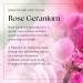 Nikura Rose Geranium Essential Oil - 30ml (3 x 10ml) | 100% Pure Natural Oils | Perfect For Skincare Stress Relief Aromatherapy Diffusers | Great For Self Care Massage Deodorant | Vegan & UK Made Rose Geranium 10 ml (Pack of 3) - Buy Online on GoSupps.com