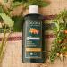 LOGONA Naturkosmetik Repairing and nourishing shampoo for naturally healthy hair suitable for damaged hair repairing and caring shampoo with vegan formula with organic sea buckthorn  - Buy Online on GoSupps.com