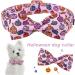 Buy Aring Pet Halloween Dog Collar Cute Pink Pumpkin Design with Bow for Small to X-Large Dogs - Perfect Costume Accessory - Buy Online on GoSupps.com