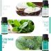 MitFlor Premium Mint Fragrance Oils Set - 6x10ml for Diffuser, Soap & Candle Making | Refreshing Home Fragrance & Aromatherapy Oil Gift Set - Buy Online on GoSupps.com