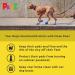 Pawz Pawc-XXS Dog Boots - Yellow | Waterproof Pet Booties for Small Dogs | Shop Now! - Buy Online on GoSupps.com