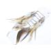 Mytoptrendz Pack of 12 Feather Clip in Hair Extensions with Glitter Kirby Bobby Pin Grip Slide ((Natural brown tone white mix) Natural brown white mix