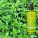 Primavera Vegan Organic Plant Waters Care Waters 100% natural essential oils 100ml Fragrance: Peppermint Water