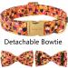 Aring Pet Halloween Dog Halison - Sweet Orange Festival Neck Strap with Bow | Adjustable Cotton for Medium Dogs | Pack of 1 - Buy Online on GoSupps.com