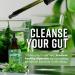 360 Nutrition Liquid Chlorophyll Drops with Peppermint Oil - Natural Detox & Digestion Support | Radiant Skin - 60 Servings - Buy Online on GoSupps.com