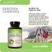 NatureWise 1 Green Tea Extract 1000 mg - Vegan Non-GMO - 60 Capsules 30-Day Supply + 1 Garcinia Cambogia - 60% HCA - Vegan Non-GMO - 90 Capsules 1-3 Month Supply  - Buy Online on GoSupps.com