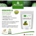 Amtec MoriVeda Graviola Powder Extract 100 natural graviola fruit extract rich in vitamins and antioxidants premium quality graviola vegan and glutenfree 1 x 120 g - Buy Online on GoSupps.com