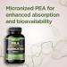 Gade Nutrition Palmitoylethanolamide Pea Supplement 800 mg with Quercetin 200 mg | Micronized Pea 99% Highly Purified and 95% Quercetin Bioavailable | Made in USA | Supplement for Men and Women - Buy Online on GoSupps.com