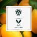 Herbal Essences Pure Plants Mango & Aloe Define & Refresh Sulfate-Free Curl Cream 193 g - Buy Online on GoSupps.com