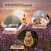 SNOOZYCAT 10 Pack 100% Natural Lavender Refills with Valerian for Cat Bed Handmade - Buy Online on GoSupps.com