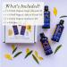 Organic Carrier Oils Set - Sweet Almond, Sunflower, Apricot Kernel - 3 x 100ml Glass Bottles | Absolute Aromas - Buy Online on GoSupps.com