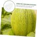 VANZACK 6 Pcs Vegetable Mold Small Fruit Mould Small Shaper Watermelon Cucumber Transparentx2pcs 9x8cmx2pcs - Buy Online on GoSupps.com