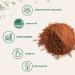 Sustainably Maine Grown  Wild Harvest Organic Chaga Mushroom Extract 100:1 Powder  Chaga Tea  6 Ounce  Superfood for Beverage and Smoothie  Vegan Friendly 6 Ounce (Pack of 1) - Buy Online on GoSupps.com