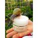 Snail Green Face Cream Snail Slime 50 ml Anti-Wrinkle Acne Healing Regenerating with Hyaluronic Acid Aloe Vera 100% Made in Italy - Buy Online on GoSupps.com
