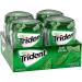 Trident Unwrapped Spearmint Sugar Free Gum  4 Bottles of 50 Pieces (200 Total Pieces) Spearmint 50 Count (Pack of 4) - Buy Online on GoSupps.com
