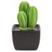 Tri Cactus Non-Electric Ceramic Diffusers for Essential Oils and Aromatherapy Fragrance White Ceramic Diffusers in Car or Desk Office Decor and Small Bathroom at Home Black Vase