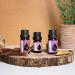 Organic Essential Oils Set - Thyme, Greek Oregano, Lemon Savory (100% Pure) | 25ml Total | Therapeutic Grade, Non-GMO - Vitality Essences Bulgaria - Buy Online on GoSupps.com