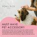 PET Pick by Pony Pick - Pet Hair Elastic Cutter | 3 Pack with 50 Clear Elastics - Grooming Tool for Dogs & Pets - Buy Online on GoSupps.com
