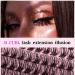 120Pcs DIY Natural Look Wispy Cluster Lash Extensions - 8-16MM D Curl Individual Lashes for Home Use - Reusable Individuals (Pretty) - Buy Online on GoSupps.com