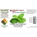 Buy Peppermint Essential Oil 4 oz | GC/MS Tested | Amber Glass Bottle | International Shipping Available - Buy Online on GoSupps.com