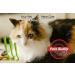 PETS BUDDY Tick Remover Tool 3 Pcs Tick Remover Tools for Dogs Cats Horses and Even Humans - Buy Online on GoSupps.com