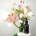 LIQ CR Serum Night 0.3% Retinol SILK Anti-Aging Anti Wrinkle Correction Serum 30ml 1oz - Buy Online on GoSupps.com