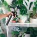 Stainless Steel Mist Spray Bottle - Refillable Continuous Sprayer for Plants Hair Styling & Skin Care - 550ML - Buy Online on GoSupps.com