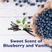 Tropiclean Oxymed Lavish Blueberry Facial Scrub 3.8L - Gentle Cleanser for Radiant Skin | International Shipping Available - Buy Online on GoSupps.com