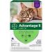 Advantage II Flea Prevention for Large Cats - 6 Doses, 6 Months Supply - 2 Pack Bundle - Buy Online on GoSupps.com