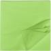 HEKU 100 Light Green Napkins - 3-Layer 33x33cm Highly Absorbent Stylish & Practical 5-Pack for Events & Gastronomy - International Shipping Available - Buy Online on GoSupps.com