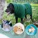 Pettom Microfiber Dog Bathrobe - Quick Drying Comfortable Wader for Large Medium & Small Dogs (XL Green) | International Shipping Available - Buy Online on GoSupps.com