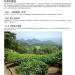 Taiwan Yuchi Farmers' Association Sun Moon Lake Assam Black Tea 150g*4 - Buy Online on GoSupps.com