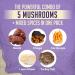 Nature's Harvest Mushroom Powder Turmeric Latte Mix - 35 Servings - Shroom Magic 5 Mushroom Blend with Reishi, Chaga, Cordyceps, Lion's Mane & Turkey Tail - 2.36oz Pack - Hot & Cold Drink Mix - Buy Online on GoSupps.com
