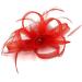 Ladies Feather Beak Clip Fascinator Weddings Races Royal Ascot Hair Piece Clip Red - Buy Online on GoSupps.com