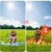 Dog Cooling Vest | Summer Breathable Mesh Jacket for Small & Medium Dogs | Pink Ice Cooling T-Shirt with Reflector Stripes - Buy Online on GoSupps.com