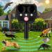 Cat Repellent Cat Scarers for Gardens Fox Repellent Ultrasonic Waterproof Cat Deterrents with 5 Modes & PIR Motion Sensor & LED Flash USB Charging Animal Repellent for Gardens Farm Field Yard - Buy Online on GoSupps.com