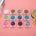 Natudeco Nail Sencer Nail Flash Powder DIY Nail Kit 12 Colors Of Color Exquisite Stylish Skin Friendly Family Nail Salon Decoration - Buy Online on GoSupps.com