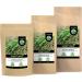 Dried chives (500g) chopped chives 100% natural leeks chives without additives wild onions - Buy Online on GoSupps.com